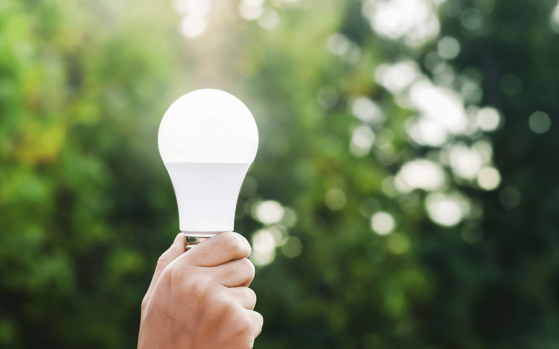 Approved Smart Home Installers 243 Smart Lighting Garden