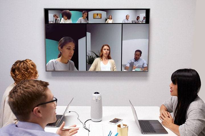 Meeting Owl Meeting Owl