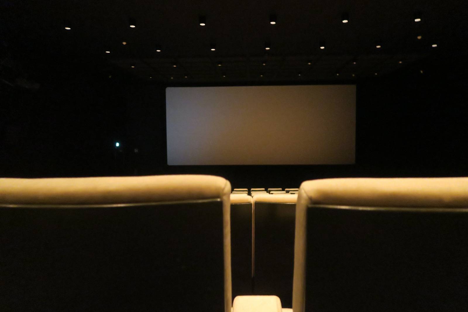 Movie Magic at Home: Stunning Home Cinema Design Ideas 3 cinema room