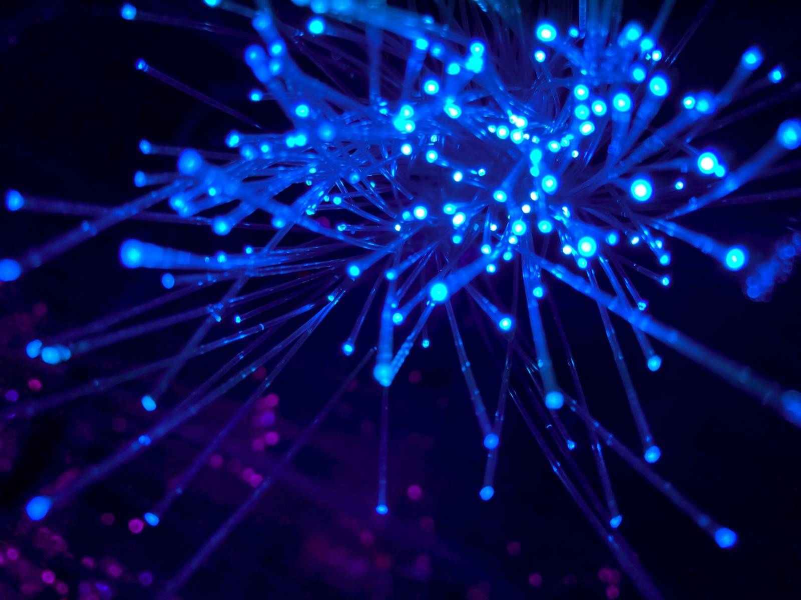 Stay Connected: Understanding the Difference Between Broadband and Wi Fi 83 fibre optic broadband